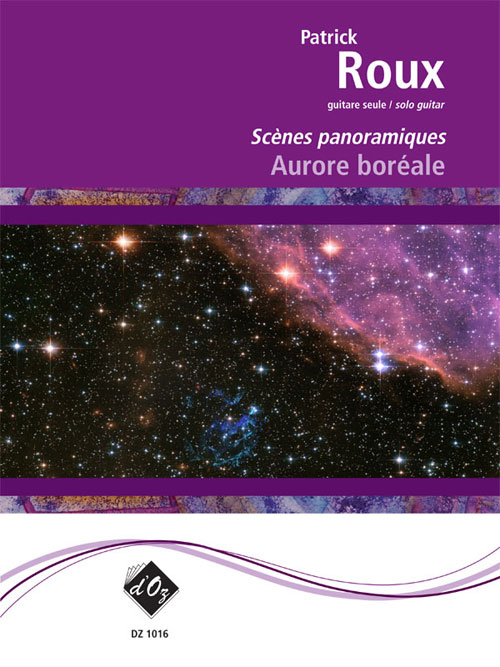 Scènes panoramiques - Aurore boréale